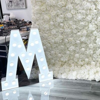 Big Wedding Letters personalizzati 12V Input Voltage Decorazione di festa con luci