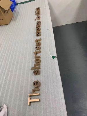 Pubblicità in oro Segnali elettronici a LED 3D per il logo del negozio