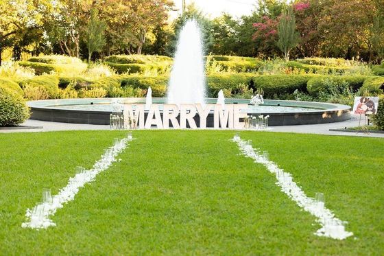 Proposta di matrimonio cartello al neon Marquee illumina lettere Decorazione