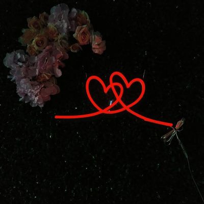 Segno di neon per la signora Mr. Will You Marry Me Un simbolo di amore e impegno