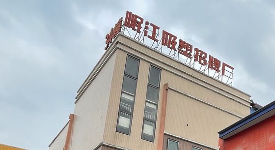 Strisce LED Fonte di luce Dimensione personalizzata Lettere retroilluminate 3D di neve metallica per segnaletica interna