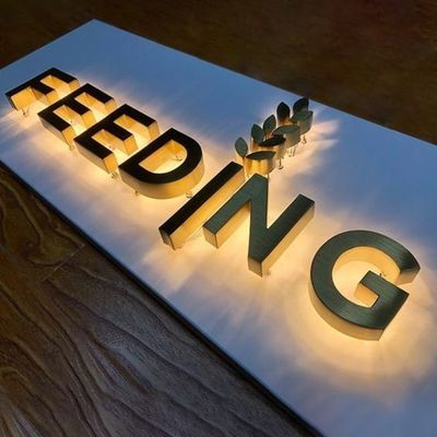 12V LED strisce acrilico in acciaio inossidabile Lettering Custom Business segnali esterni
